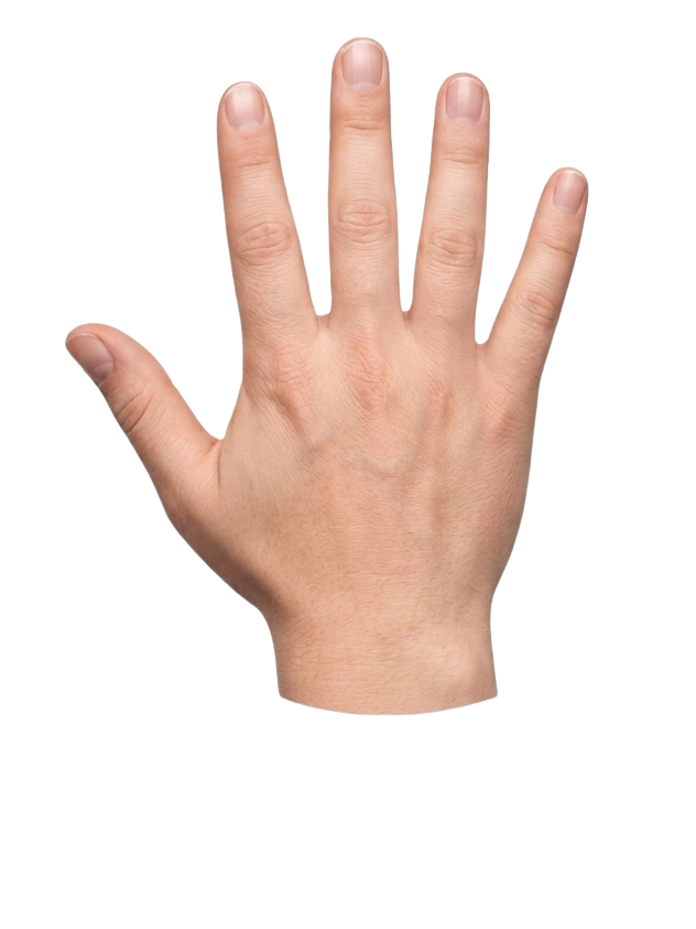 Mano derecha